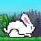 Jolly Bunny Adventure