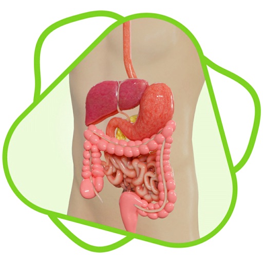 CloudLabs Digestive system CloudLabs Digestive system