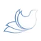 Wizor Pro – Search by picture