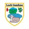 Gowna GAA