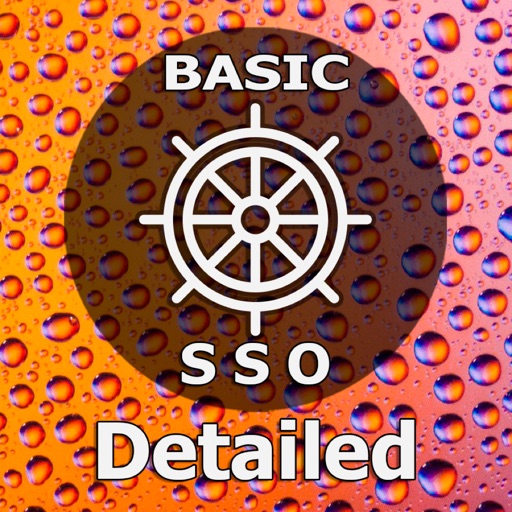 Basic. SSO Detailed CES Test Basic. SSO Detailed CES Test