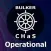 Bulk carriers CHaS Operational