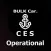 Bulk carrier. Operational CES