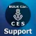 Bulk carrier. Support CES Deck