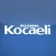 Özgür Kocaeli Gazetesi