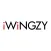 iWiNGZY Express