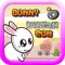 Bunny Adventure Run