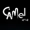 CAMEL ALARM