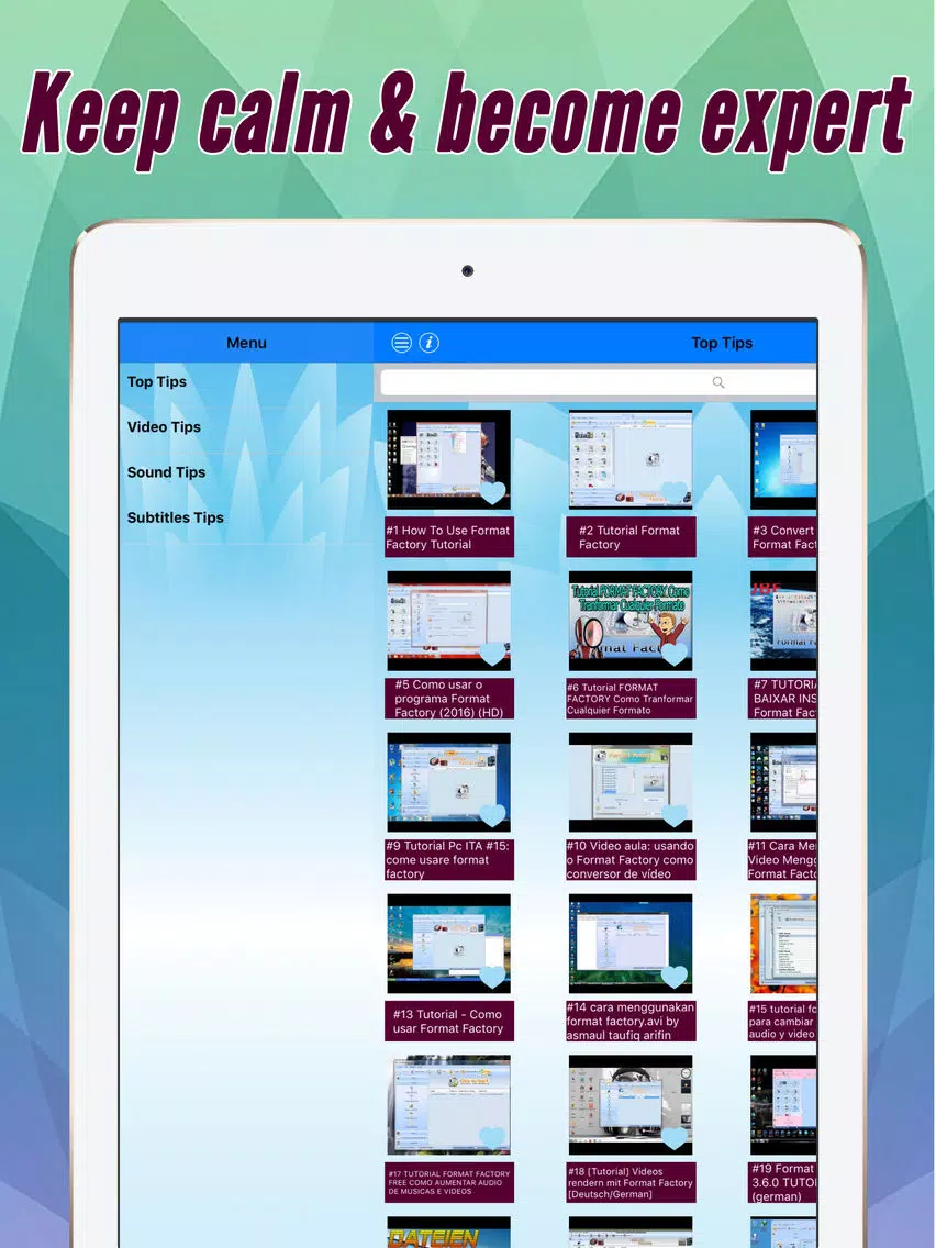 Pro Tips And Tricks For Format Factory iPad Screenshots