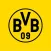 BVB eAcademy