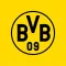 BVB eAcademy