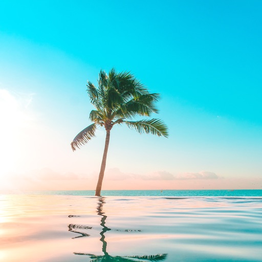 Cute Summer Wallpapers Cute Summer Wallpapers