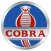 Cobra Softwares Inc