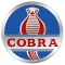 Cobra Softwares Inc