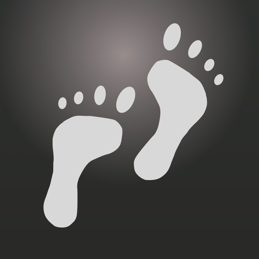 Pedometer Fitness Tracker Pedometer Fitness Tracker