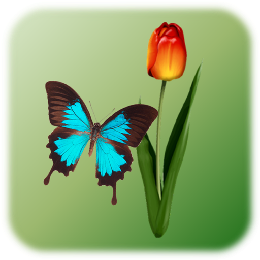 Butterfly Tap