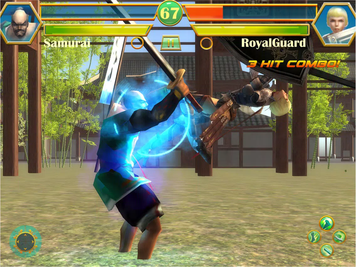 Fighting Revolution: Classic Fighter Game iPad Screenshots