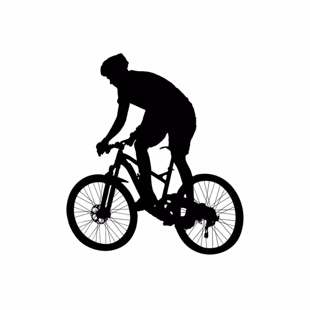 Bicycle Stickers Bicycle Stickers
