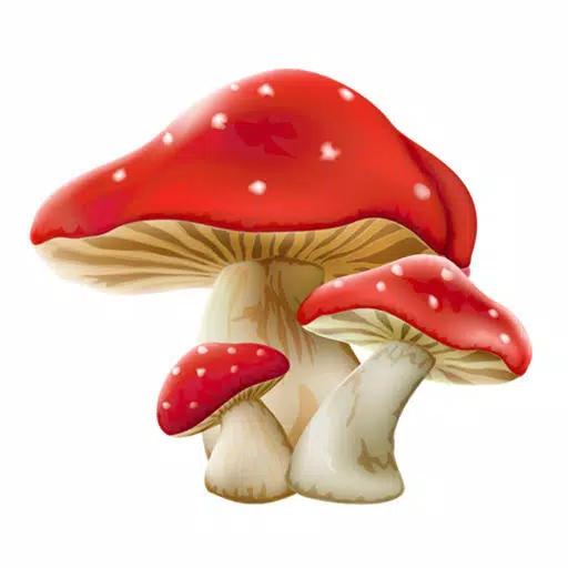 Mushrooms Of Course Mushrooms Of Course
