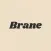 Brane - Game Developer Name Ge