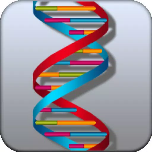 DNA Damage DNA Damage