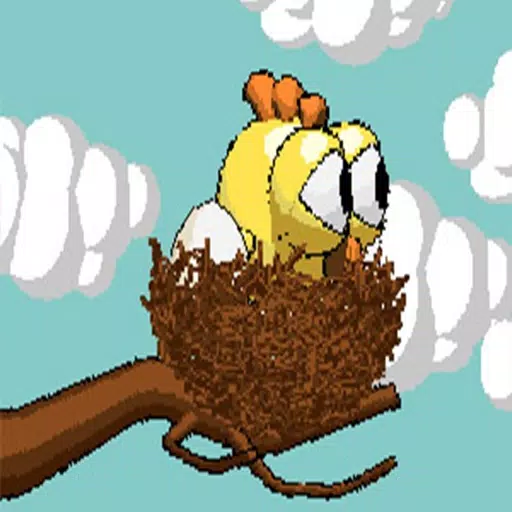 Bird nest Going Up Bird nest Going Up