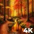 Autumn Wallpapers