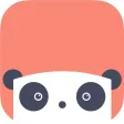 LingoPanda