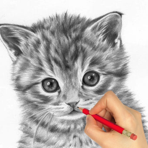 How to Draw Animals by Steps How to Draw Animals by Steps
