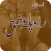 Romantic Novel Rah Pla Ishq