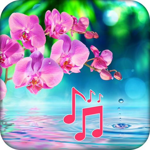 Stay Calm - Relaxing Melodies Stay Calm - Relaxing Melodies
