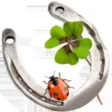 Lucky Break: How Lucky Are You Lucky Break: How Lucky Are You