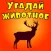 Угадай животное - Викторина