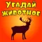 Угадай животное - Викторина