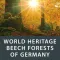 World Heritage Beech Forests of Germany
