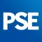 Public Sector Executive