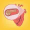 Heart Disease Genius
