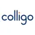 Colligo Briefcase