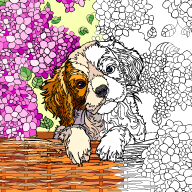 Color by Number: Coloring Book Color by Number: Coloring Book