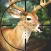 Sniper Hunter Safari Survival