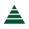 Pine Tree Scan