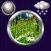 Spring Weather & Clock Widget