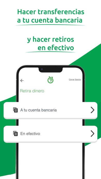 Witty Wallet Screenshots