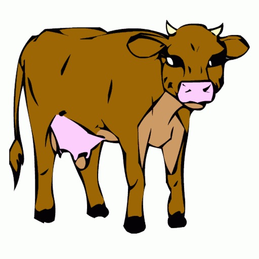 Catch The Cow Catch The Cow