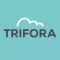 Trifora Health Racket Wellness