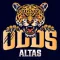 Odds Altas