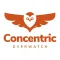 Concentric Overwatch