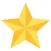 Gold Star Program