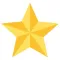Gold Star Program