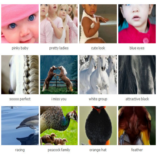 picture opicture